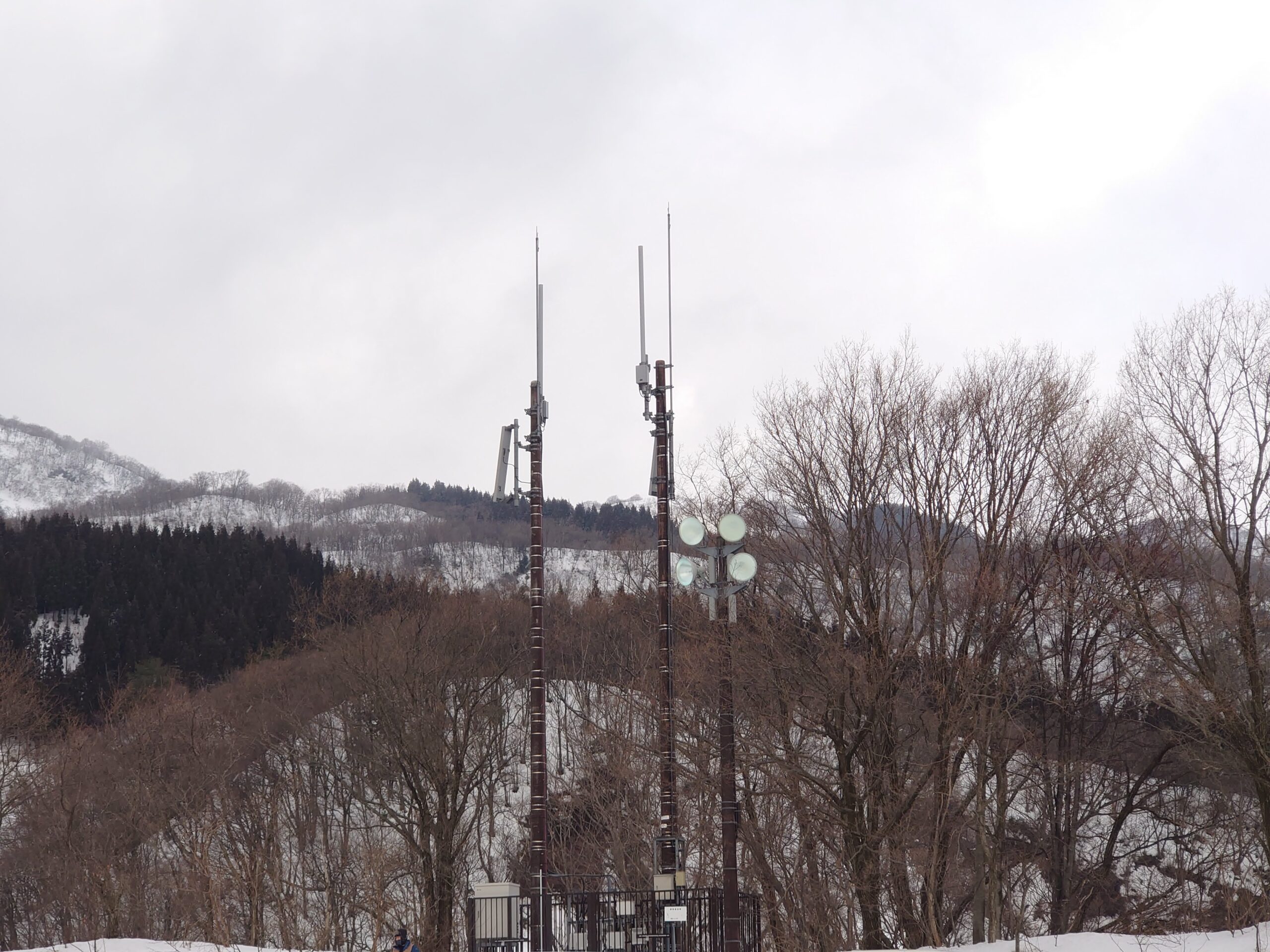220202IOXアローザスキー場子どもゲレンデそばの木っぽく見えた鉄塔