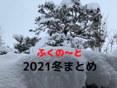 2021年冬まとめ【ふくの～とまとめ】