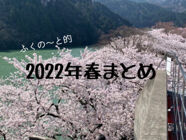 2022年春まとめ【ふくの～とまとめ】