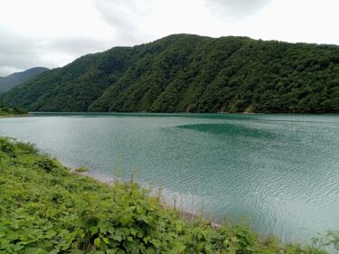 夏の桂湖がとてもきれい