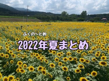 2022年夏まとめ【ふくの～とまとめ】