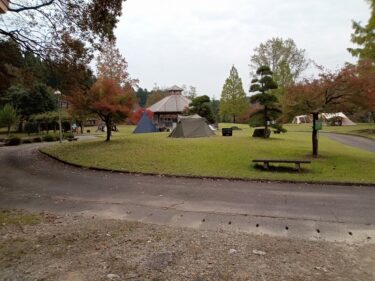11月も安居緑地公園のキャンプはにぎわってるらしい