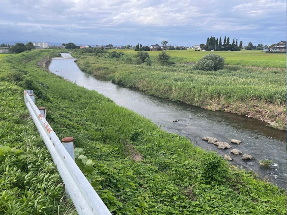 桜橋から山田川の風景