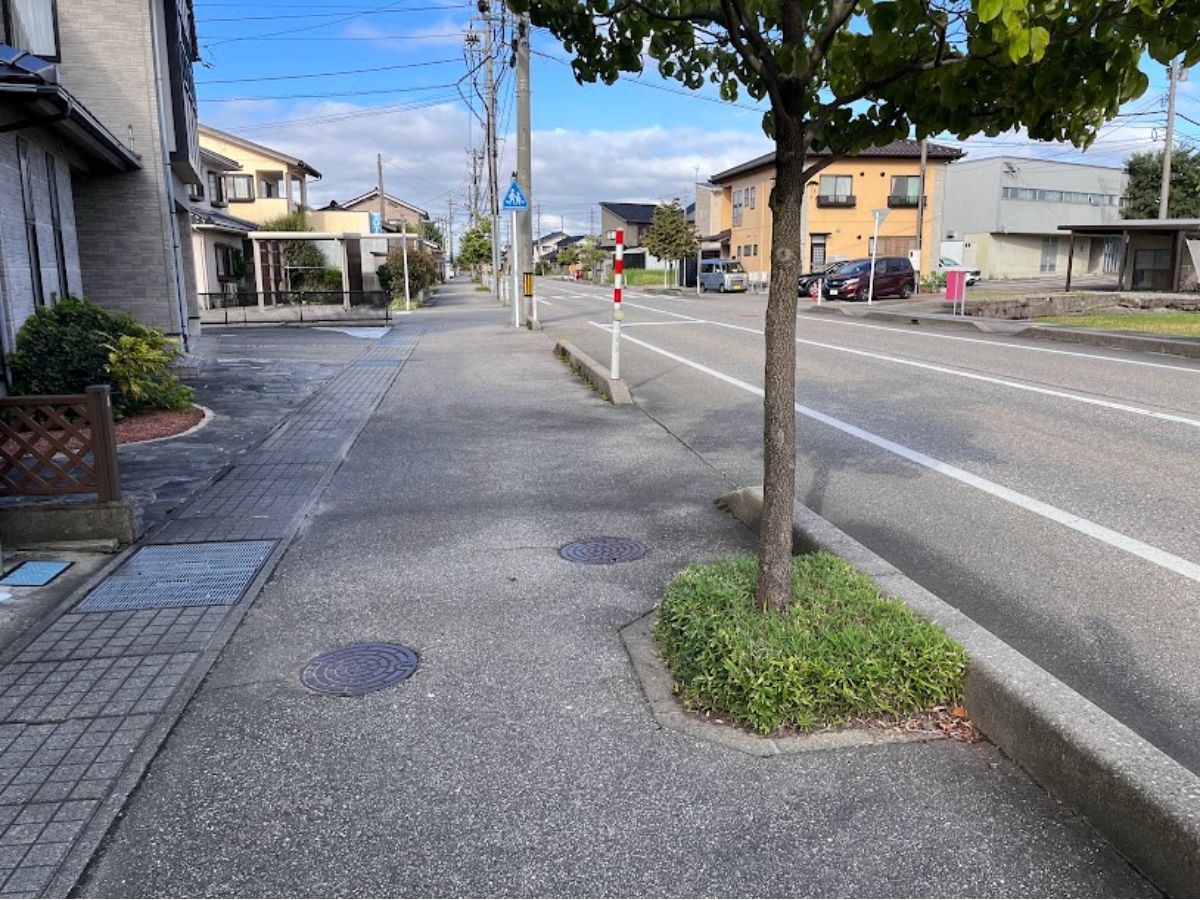 街路樹のモシャモシャきれいになってる側