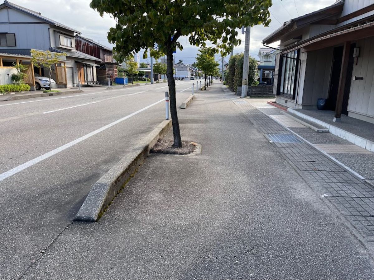 街路樹のモシャモシャきれいになってない側