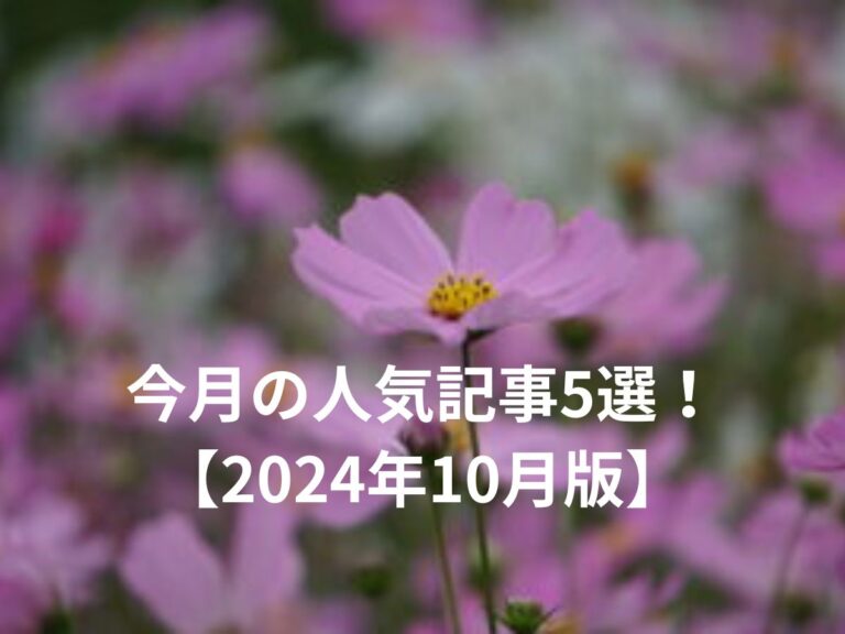 今月の人気記事5選！2024年10月版