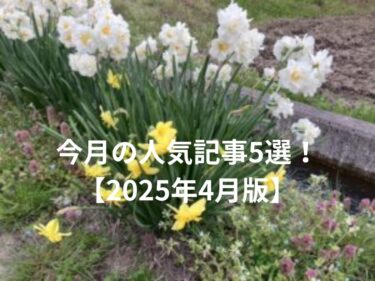今月の人気記事5選！2025年4月版