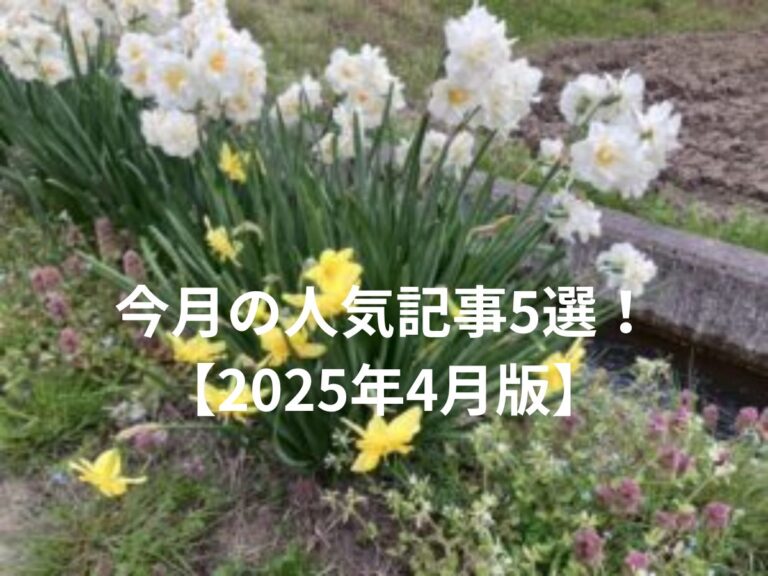 今月の人気記事5選！2025年4月版