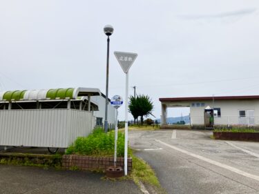 道路標識「止まれ」の色違い！？