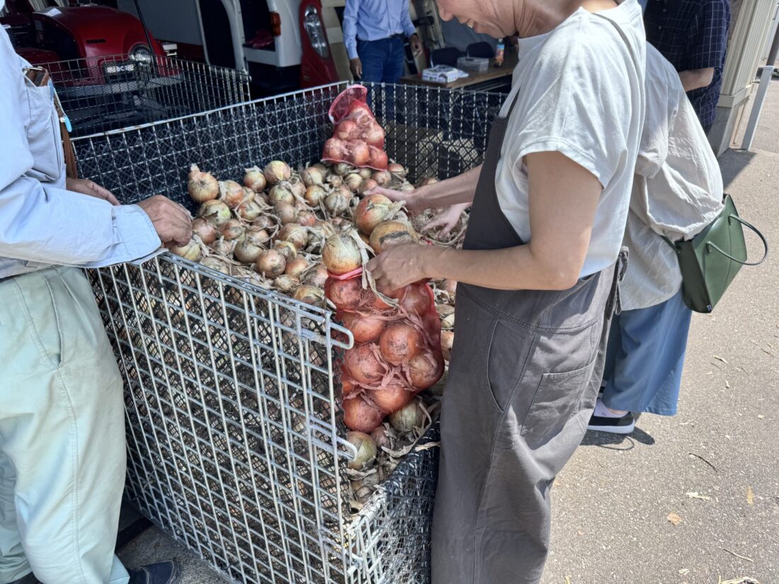 院林営農組合の玉ねぎ詰め放題行ってきた