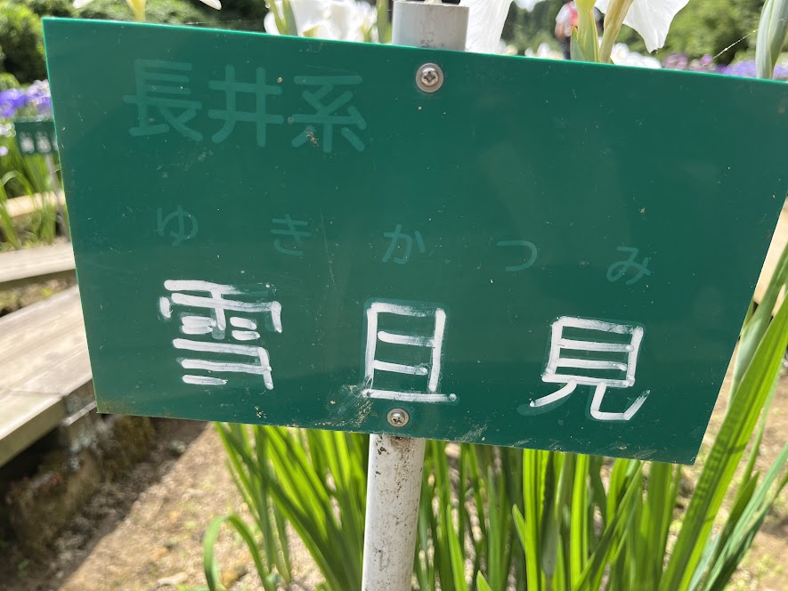 雪且見の紹介