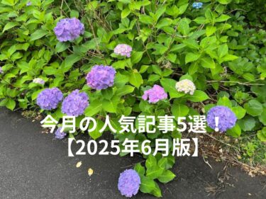 今月の人気記事5選！2025年6月版