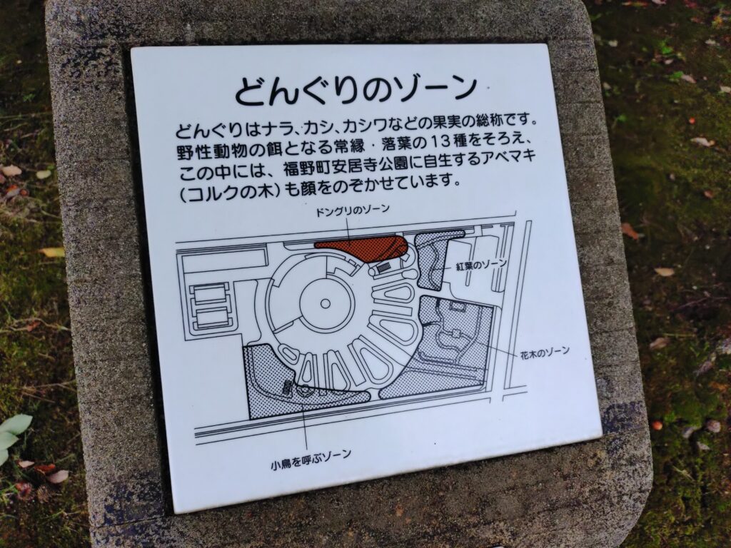 南砺市園芸植物園にはどんぐりゾーンがある　そっと教える福野のどんぐりのあるとこ