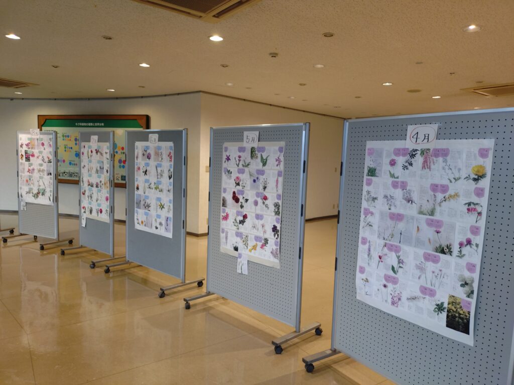 南砺市園芸植物園にはどんぐりゾーンがある　そっと教える福野のどんぐりのあるとこ