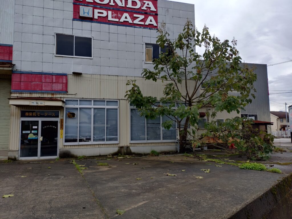 めりこみがすごい雑木があった 福野のアオキの近く