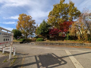 今年の「どんぐり公園」