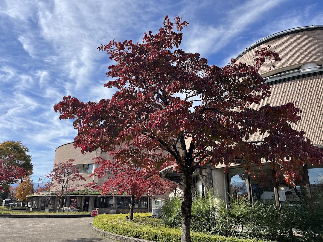 ヘリオスの木々の色づき1