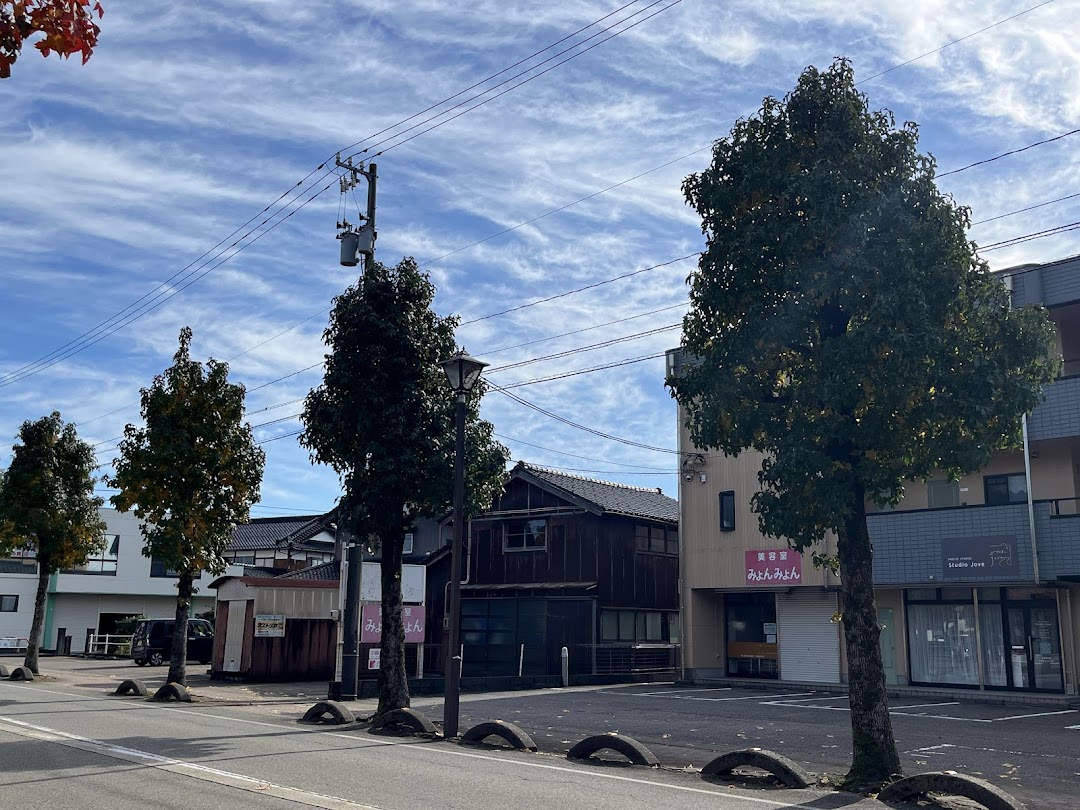 色づいてない木々