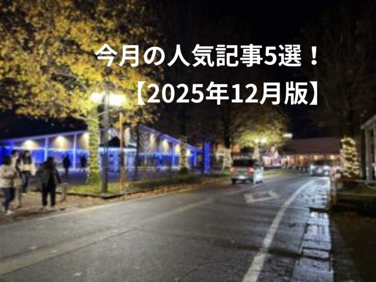 今月の人気記事5選！2025年12月号