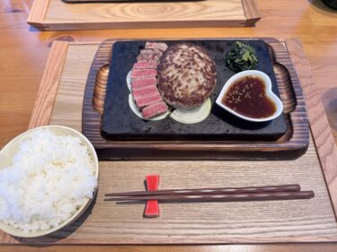 【2025版】南砺市のハンバーグ専門店、自由ELEさんでランチしてきたよ。