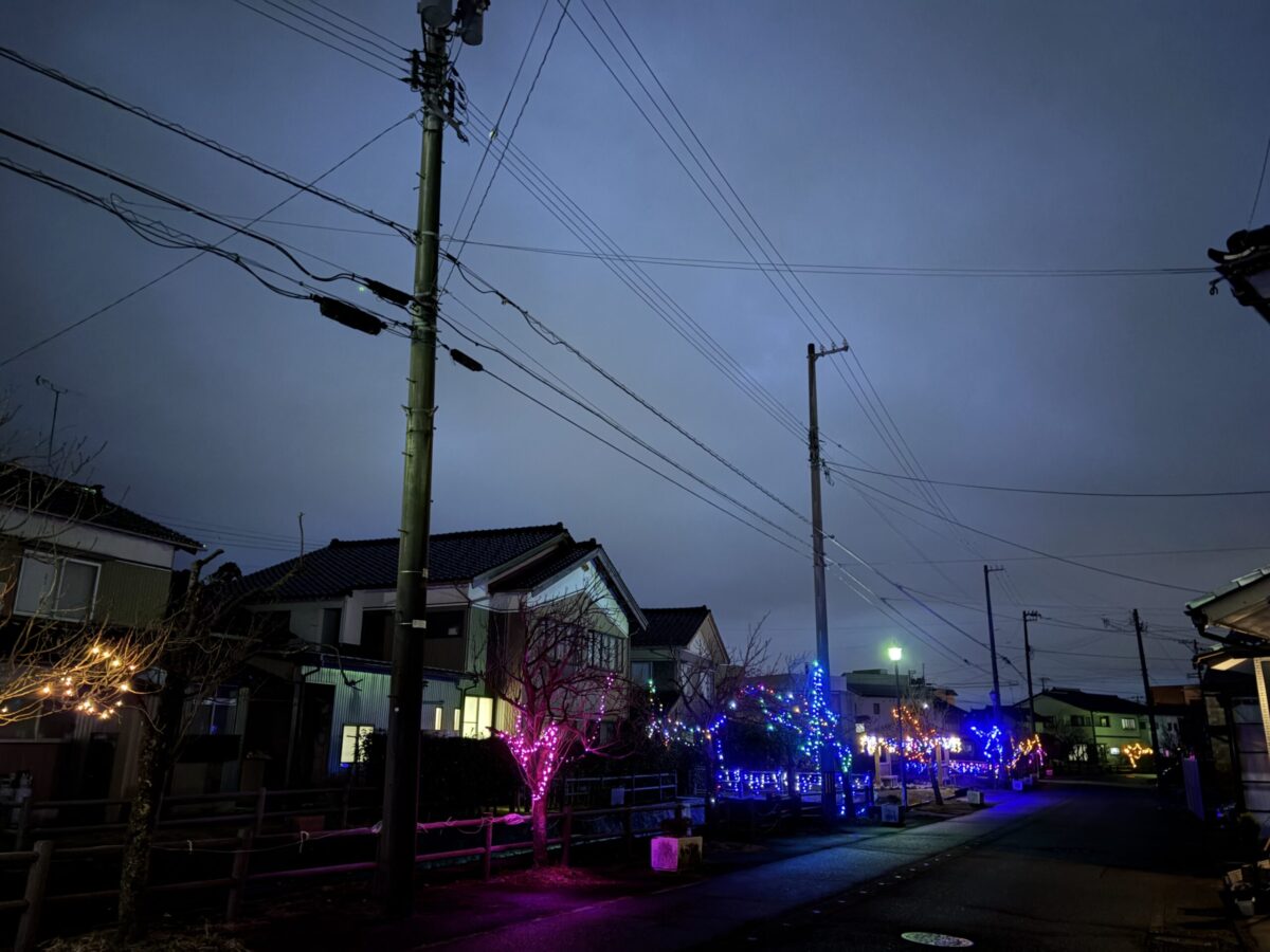 知る人ぞ知る庄川イルミを見てきた