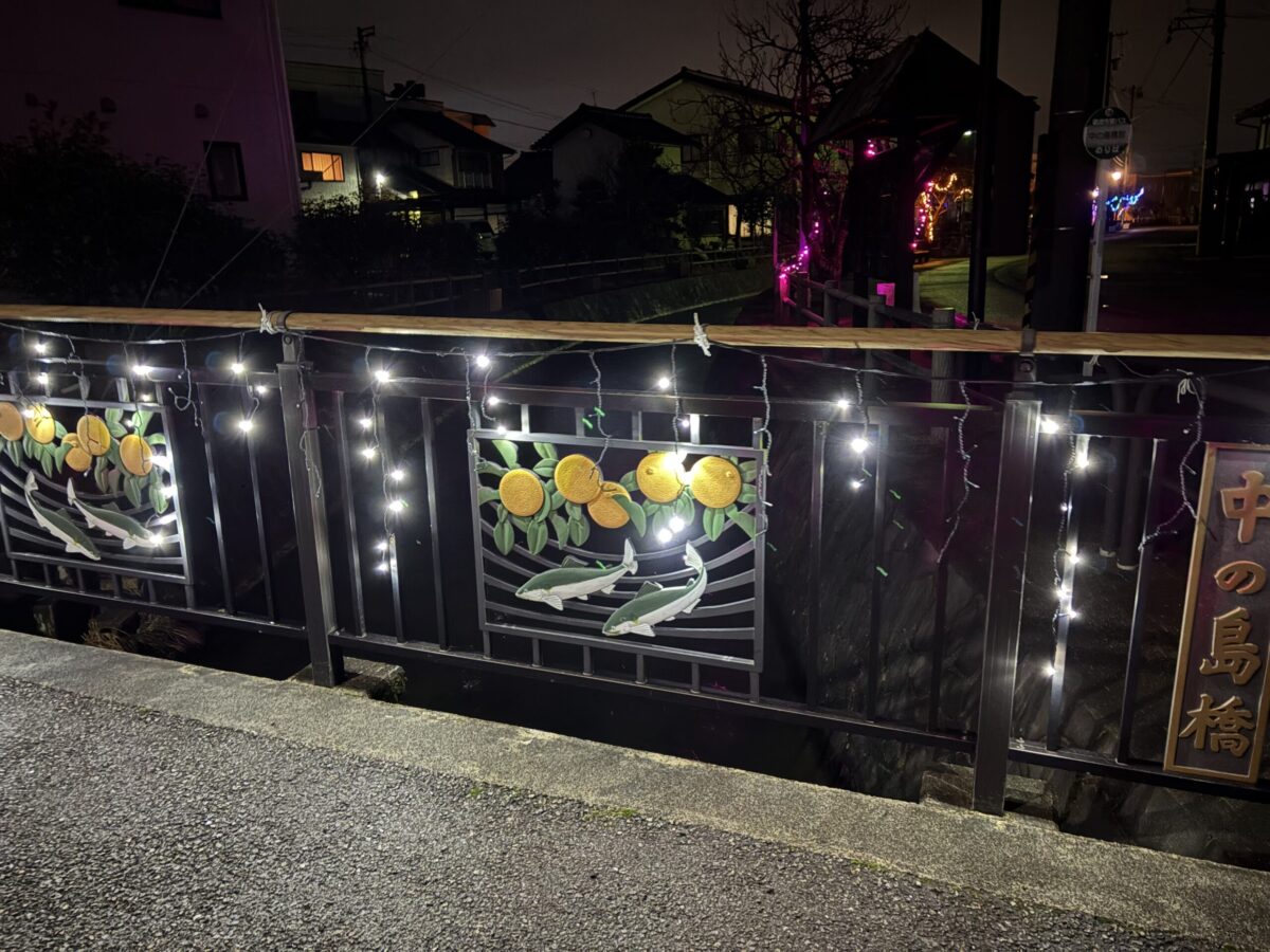 知る人ぞ知る庄川イルミを見てきた