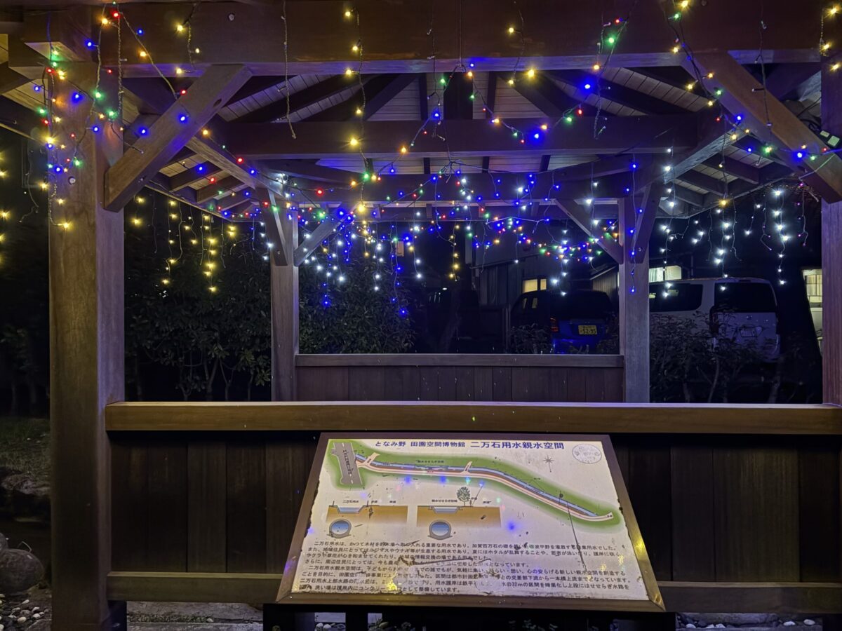 知る人ぞ知る庄川イルミを見てきた