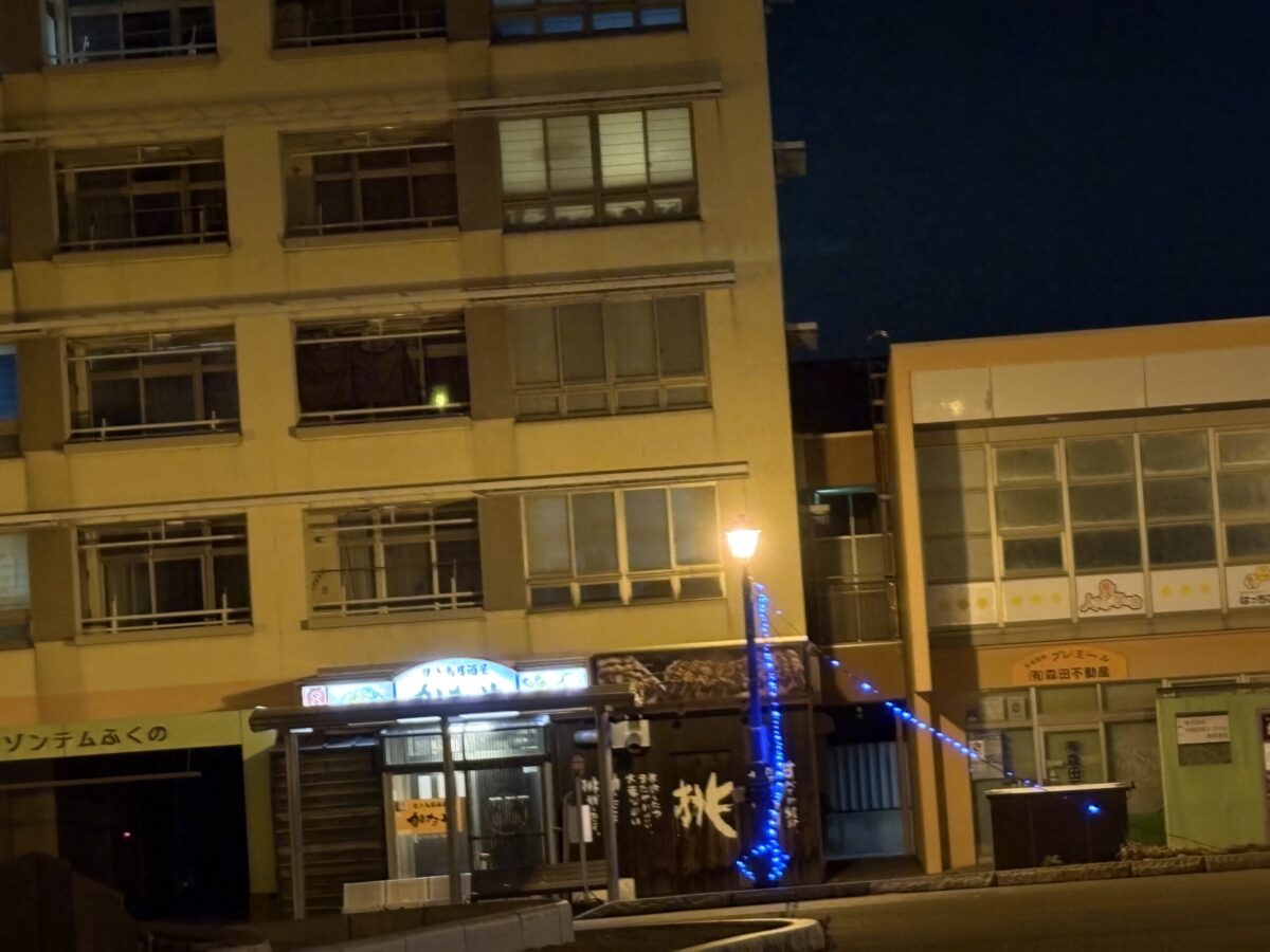 知る人ぞ知る庄川イルミを見てきた