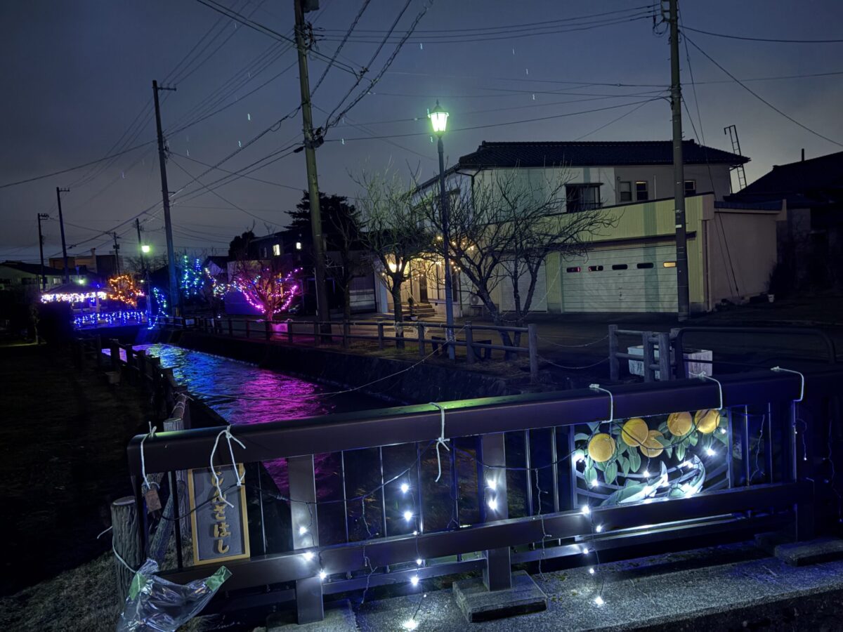 知る人ぞ知る庄川イルミを見てきた