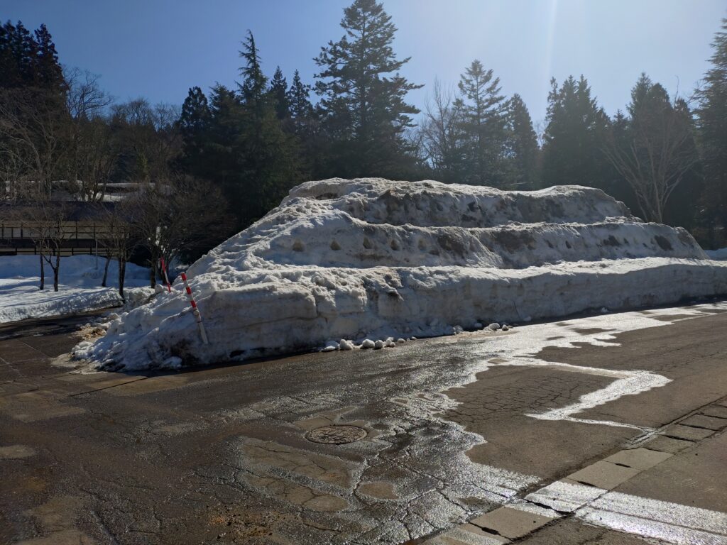 利賀の冬 楽しい雪の場所があったみたい