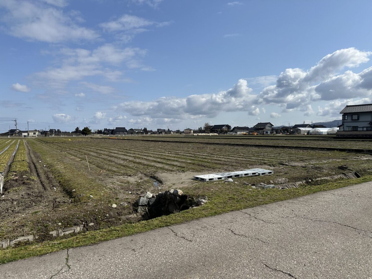 高堀にんじんつめ放題まつり