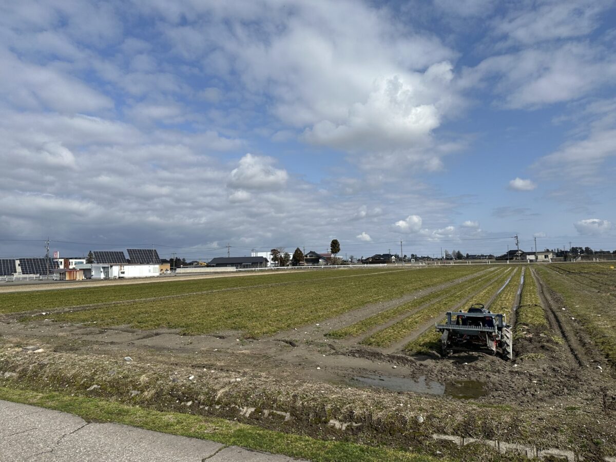 高堀にんじんつめ放題まつり