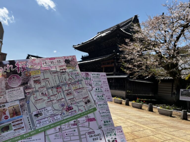 城端しだれ桜まつり2026