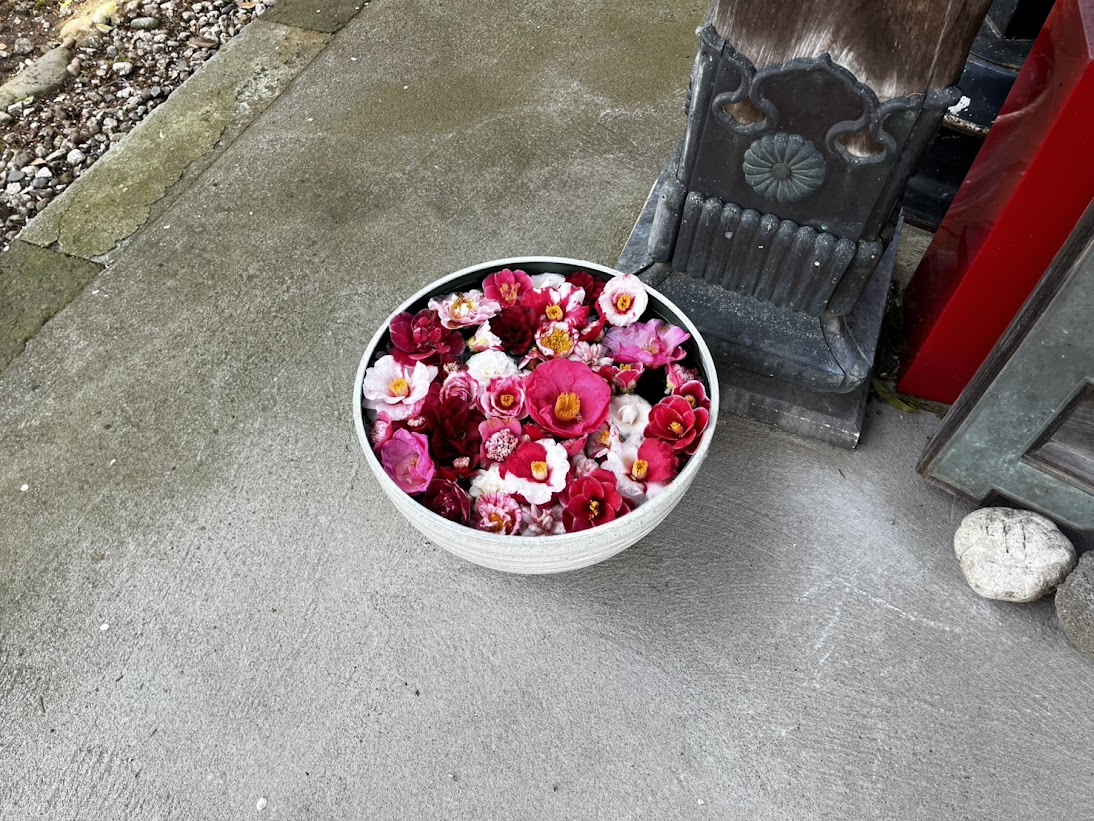 花を浮かべている鉢