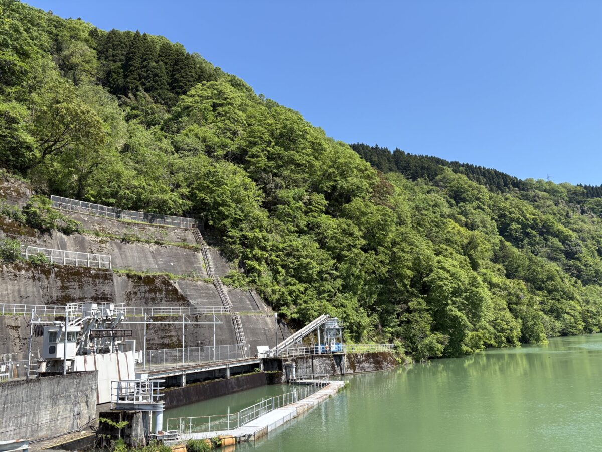 「ふなとの里」でお昼を味わい庄川の新緑を満喫してきました♪