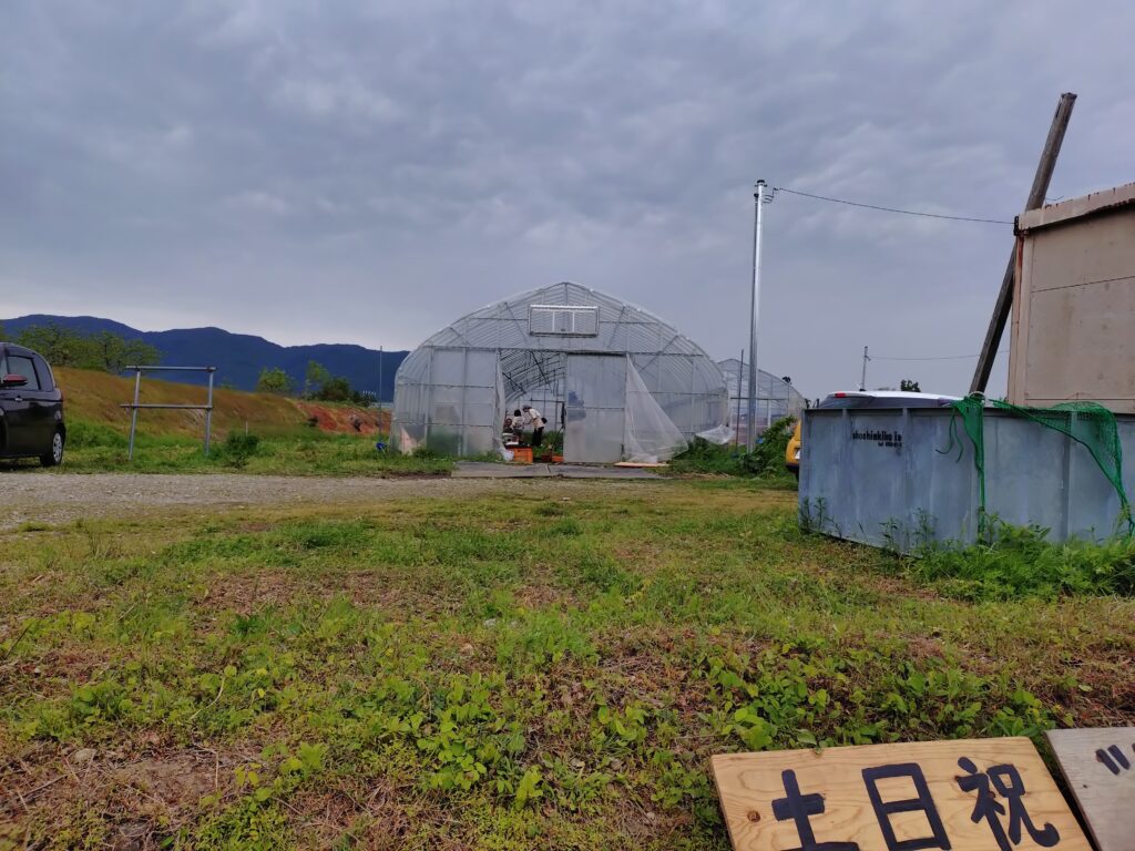 ツチカラ