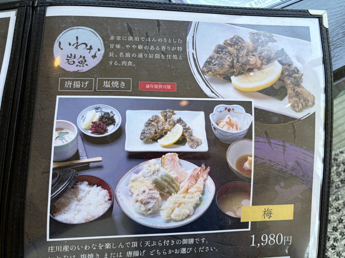 「ふなとの里」でお昼を味わい庄川の新緑を満喫してきました♪