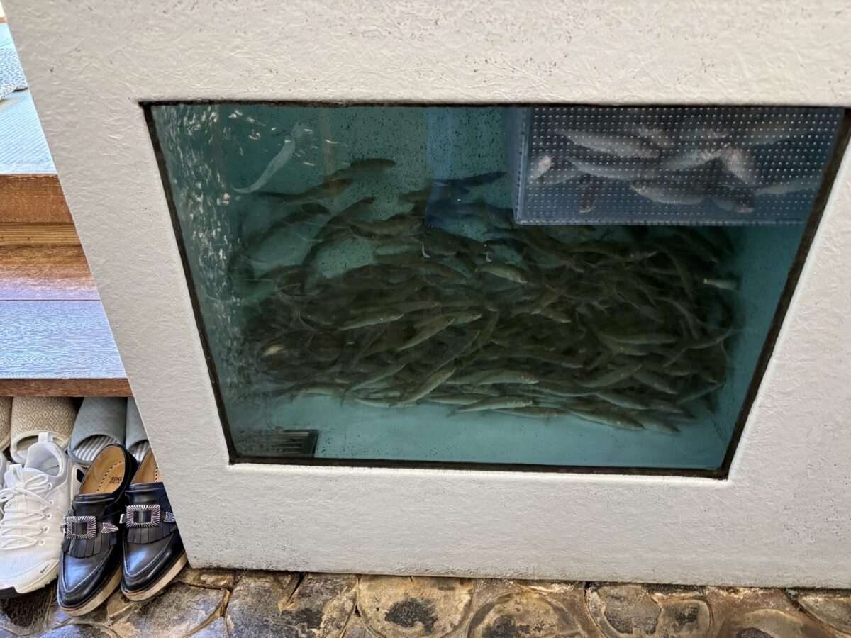 「ふなとの里」でお昼を味わい庄川の新緑を満喫してきました♪