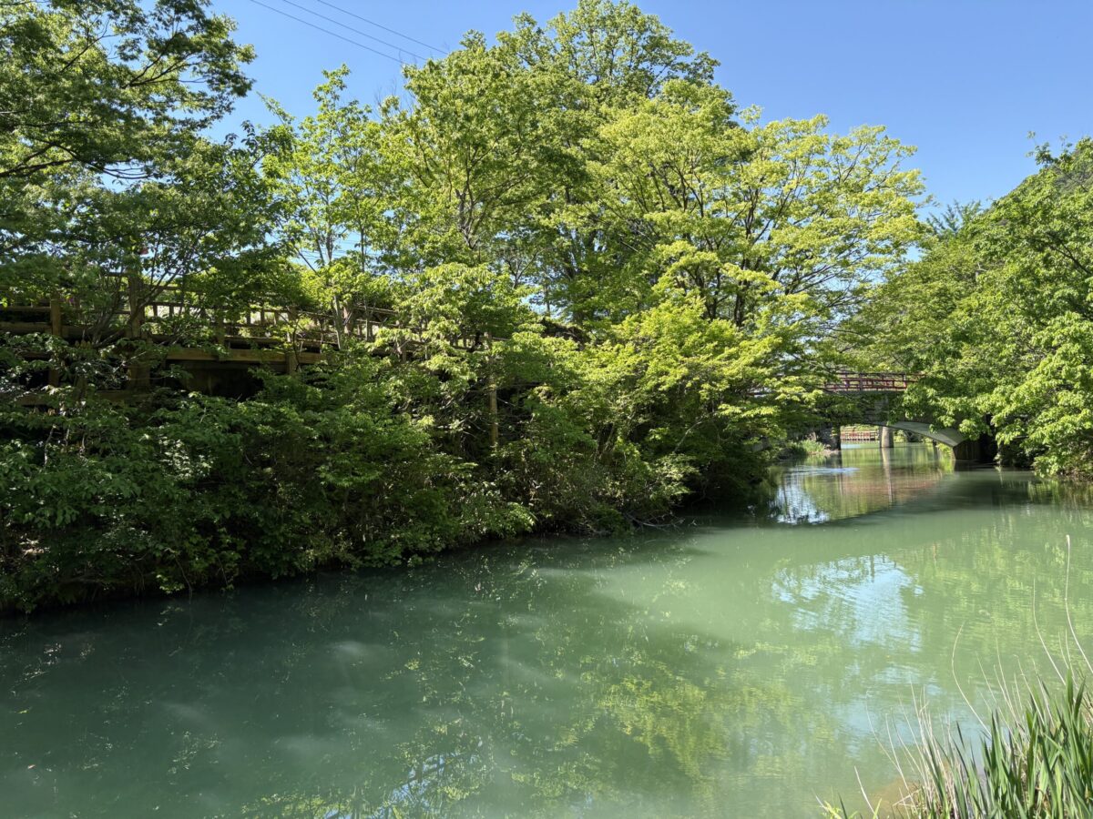 「ふなとの里」でお昼を味わい庄川の新緑を満喫してきました♪