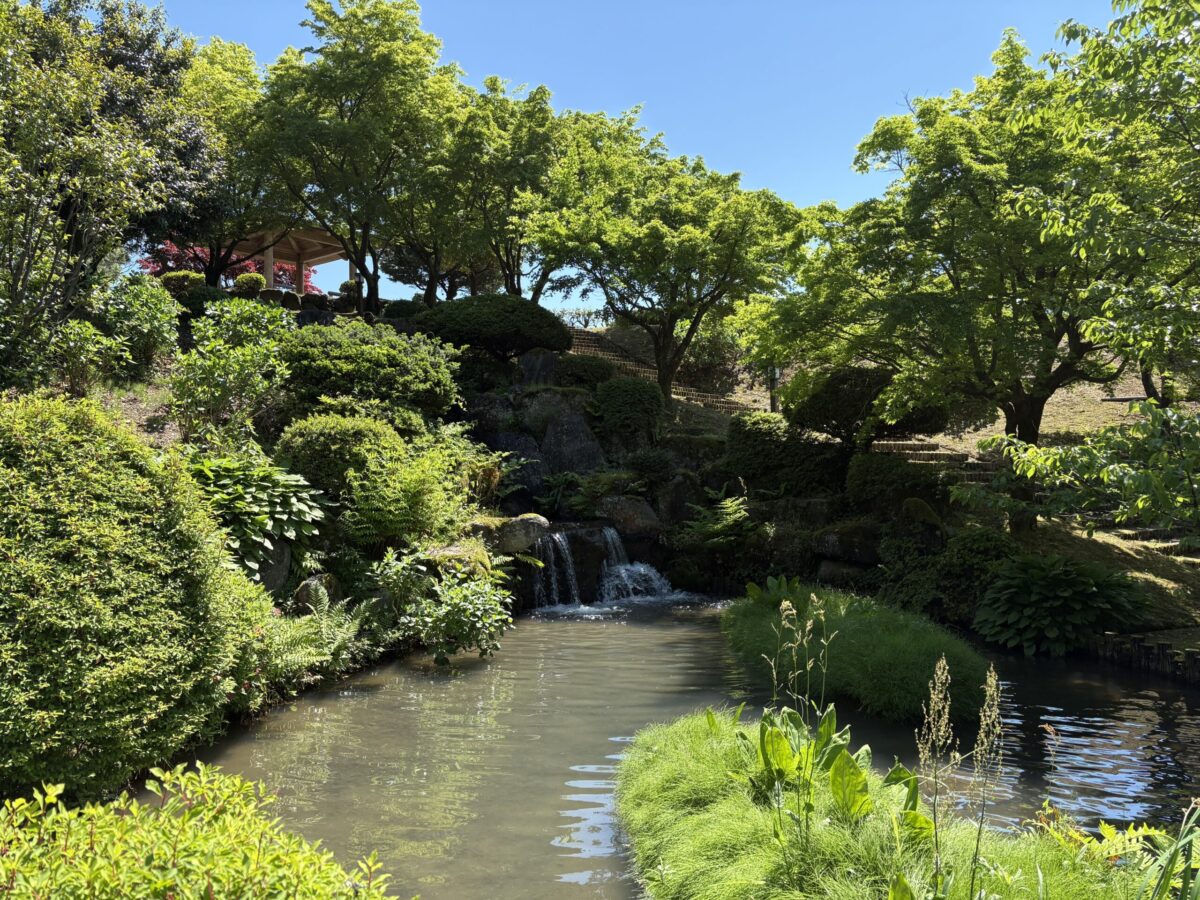 「ふなとの里」でお昼を味わい庄川の新緑を満喫してきました♪