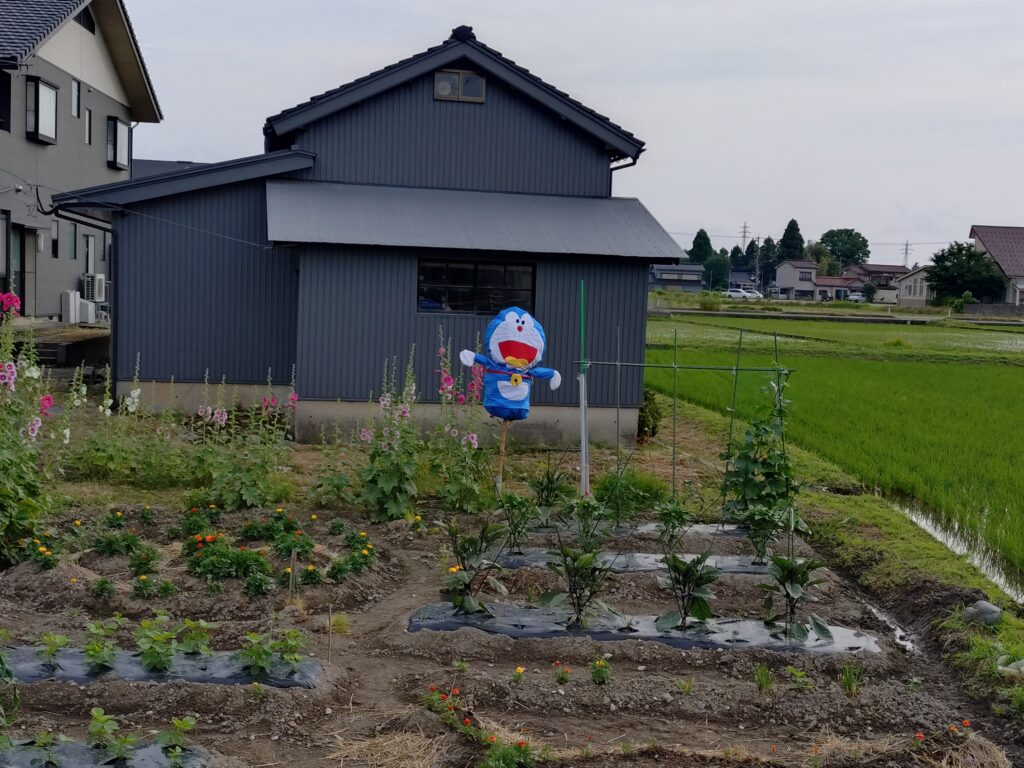 今年はドラえもん