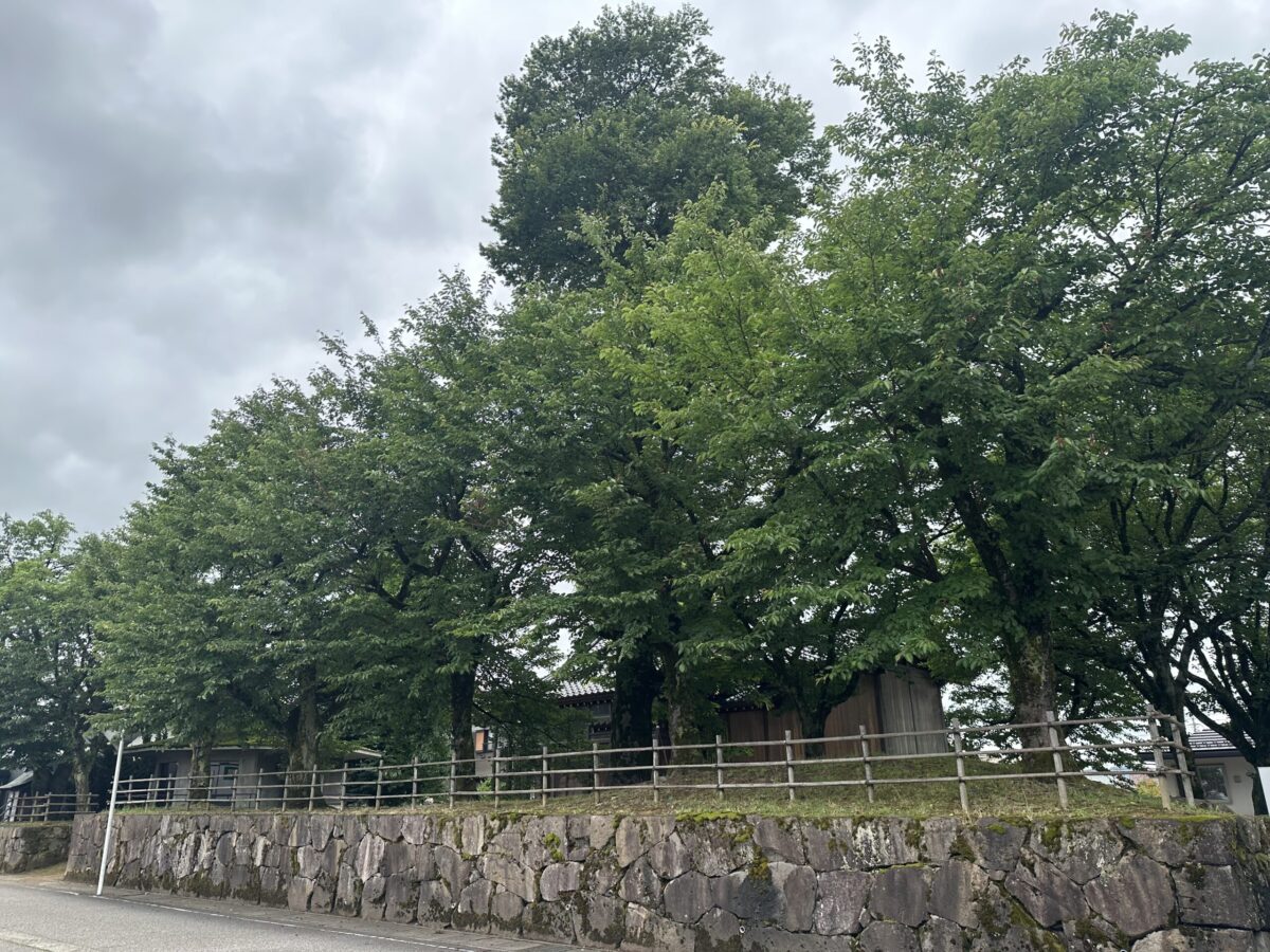 寺家新屋敷古舘跡