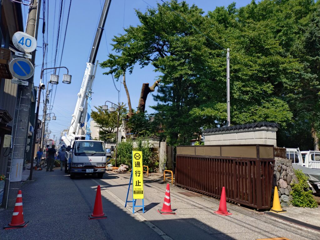 西方寺の前の木