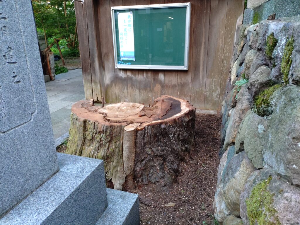 西方寺の前の木