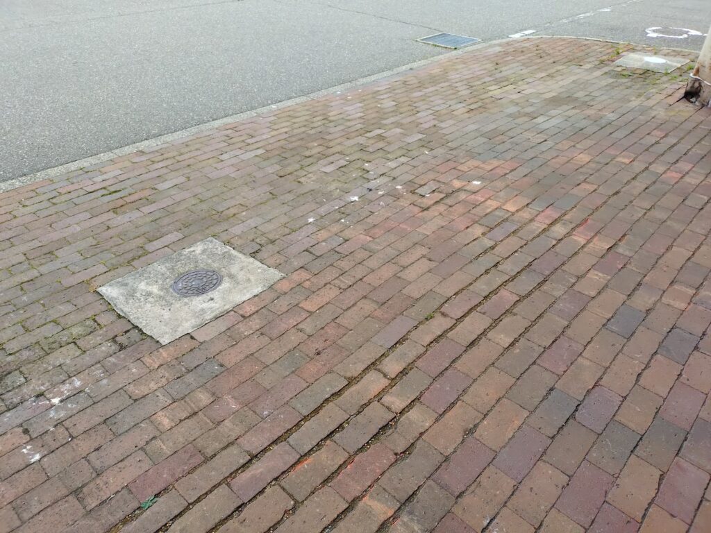 アスモの看板に鳥