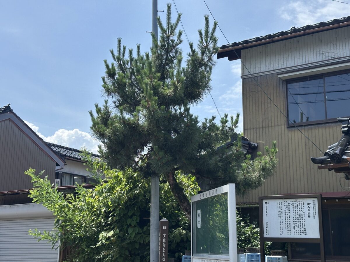 御馬の松跡