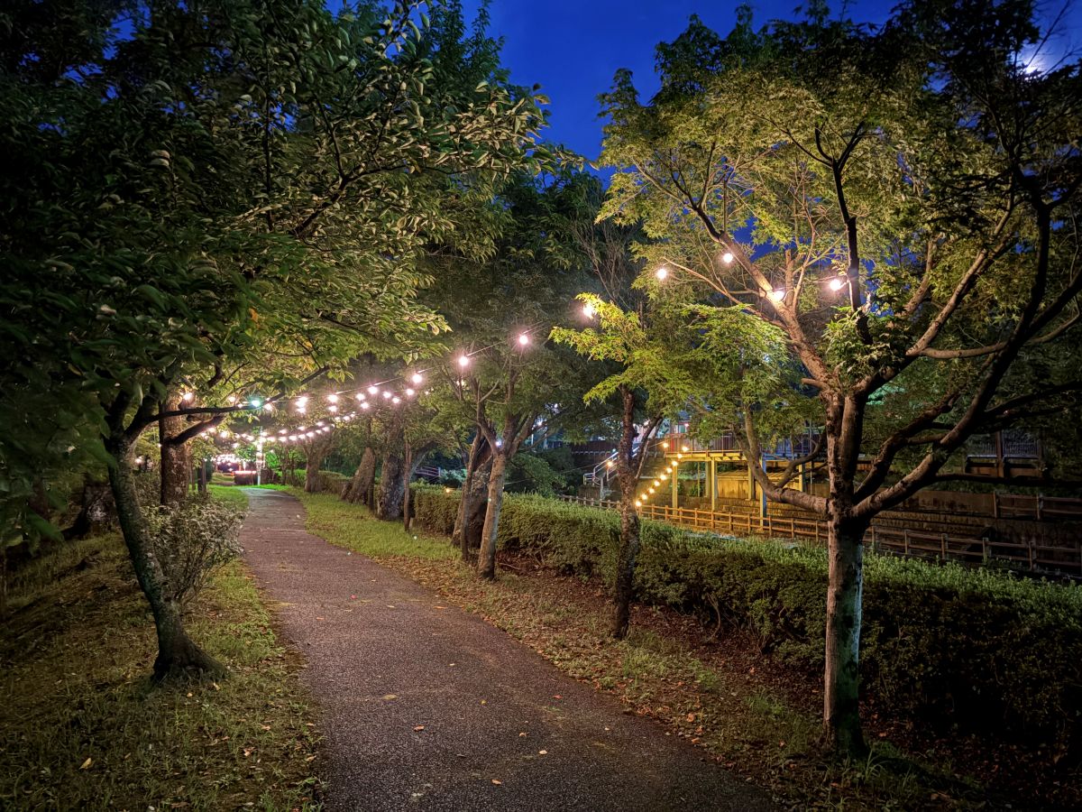 庄川の遊歩道のライトアップを堪能してきました♪