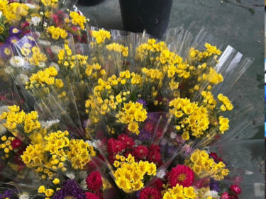 朝市で売っている切り花2