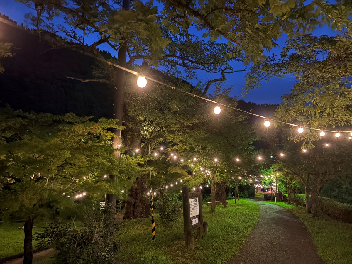 庄川の遊歩道のライトアップを堪能してきました♪