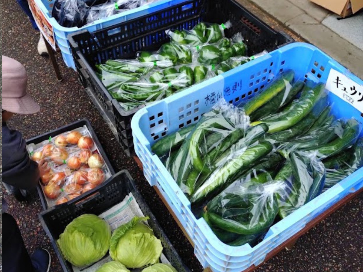 朝市で売ってる野菜